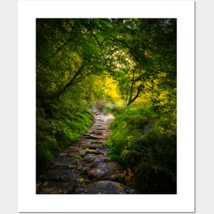 Devonshire Forest Bridleway Posters and Art